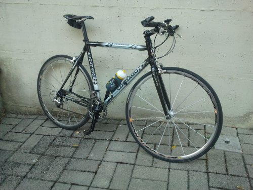 Bici Ibrida (bici da corsa con manubrio MTB)