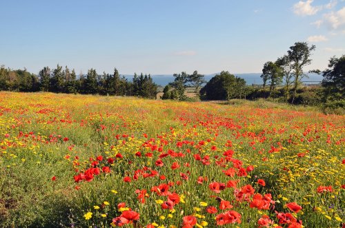 Vacanze nel verde degli agriturismi