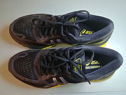 Asics Nimbus 21